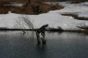 IMG_2278.jpg