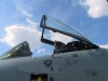 A10IIJFS029.jpg