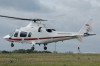 Hirundo.jpg