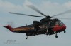 Sea_King.jpg