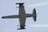 CIAF020906JFS0877.jpg