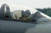 L159AAlca_jockey.jpg