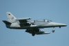 L159A_6061_I.jpg