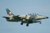 L39ZA_3903.jpg