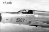 mig_21_1207_Xa.jpg
