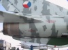 caslav_13_10_04_1581.jpg