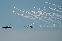 Czech - Air Force &ndash; Aero L-159A Alca 6058