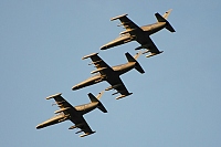 Czech - Air Force – Aero L-159A Alca 6048