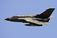 Germany - Air Force &ndash; Panavia  Tornado IDS 45+93
