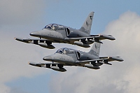 Czech - Air Force &ndash; Aero L-159A Alca 6065