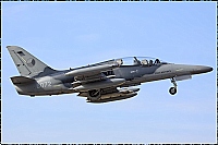 Czech - Air Force – Aero L-159T1 6072