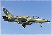 Czech - Air Force &ndash; Aero L-39ZA Albatros 5019