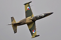 Czech - Air Force – Aero L-39ZA Albatros 2436