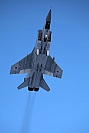 Russian-VVS &ndash; Mikoyan-Gurevich MiG-31 A Foxhound 07