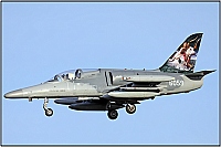 Czech - Air Force – Aero L-159A Alca 6058