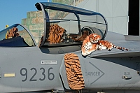 Czech - Air Force – Saab JAS39C Gripen 9236