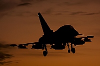 Germany - Air Force &ndash; Eurofighter EF-2000 Typhoon T 9803