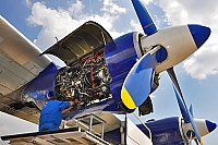 Meridian Aviation – Antonov An-12 UR-DWF
