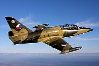 Czech - Air Force – Aero L-39ZA Albatros 5019