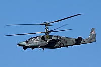 Russia - Air Force &ndash; Kamov Ka-52 Alligator (Hokum B) 51