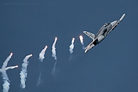 Czech - Air Force – Aero L-159A Alca 6051