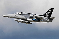 Czech - Air Force – Aero L-159A Alca 6066