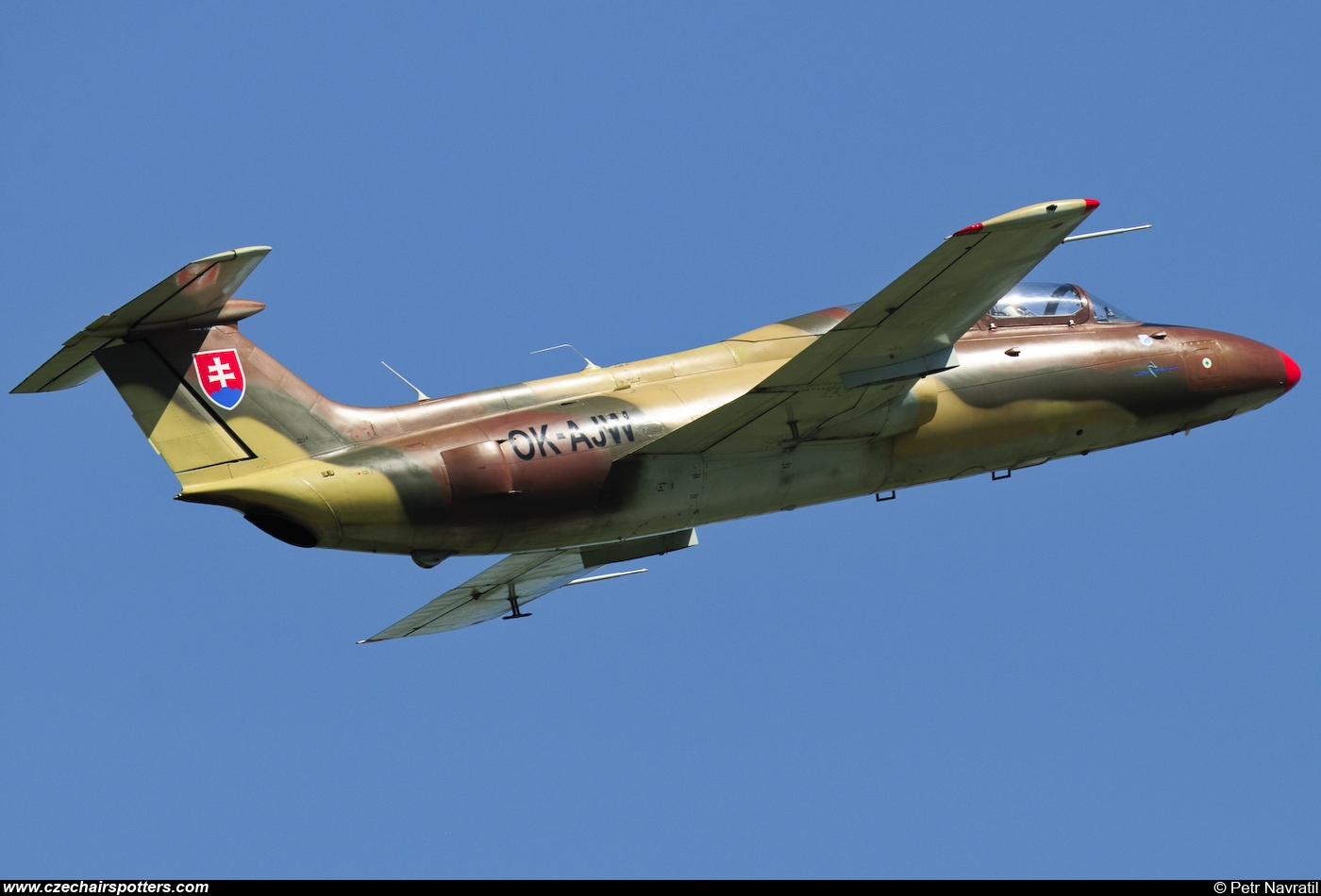 Blue Sky Service &ndash; Aero L-29 Delfin OK-AJW