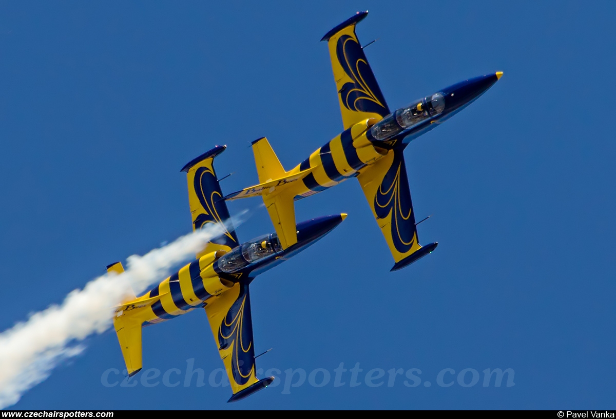 Baltics Bees &ndash; Aero L-39C Albatros YL-KSH