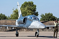 Czech - Air Force &ndash; Aero L-159A Alca 6052
