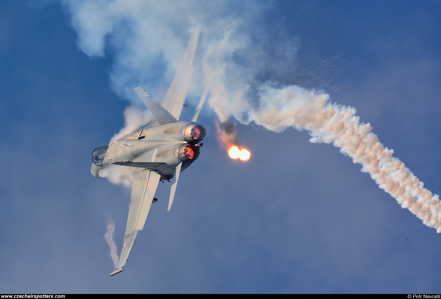 Finland - Air Force &ndash; McDonnell Douglas F/A-18C Hornet HN-448