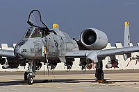 USA - Air Force – Fairchild A-10C Thunderbolt II 81-0981 / SP