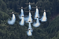 Italy - Air Force – Aermacchi MB-339PAN VARIOUS