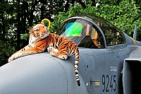 Czech - Air Force – Saab JAS39C Gripen 9245