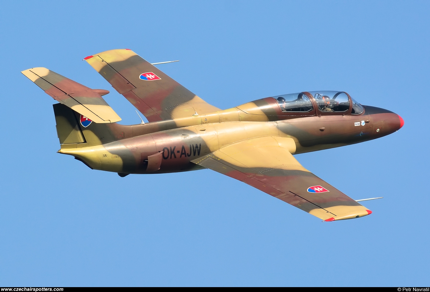 private &ndash; Aero L-29 Delfin OK-AJW