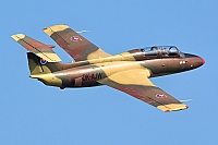 private &ndash; Aero L-29 Delfin OK-AJW