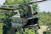 Netherlands - Air Force &ndash; Boeing CH-47D Chinook D-663