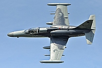 Czech - Air Force &ndash; Aero L-159A Alca 6059