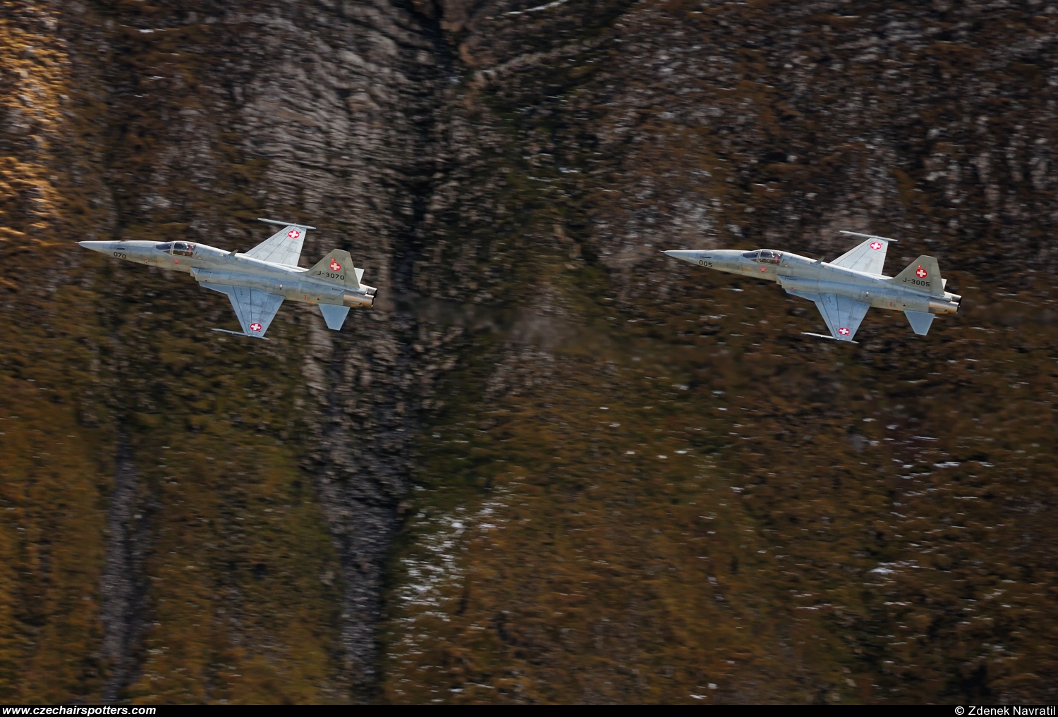Switzerland - Air Force – Northrop F-5E Tiger II J-3005