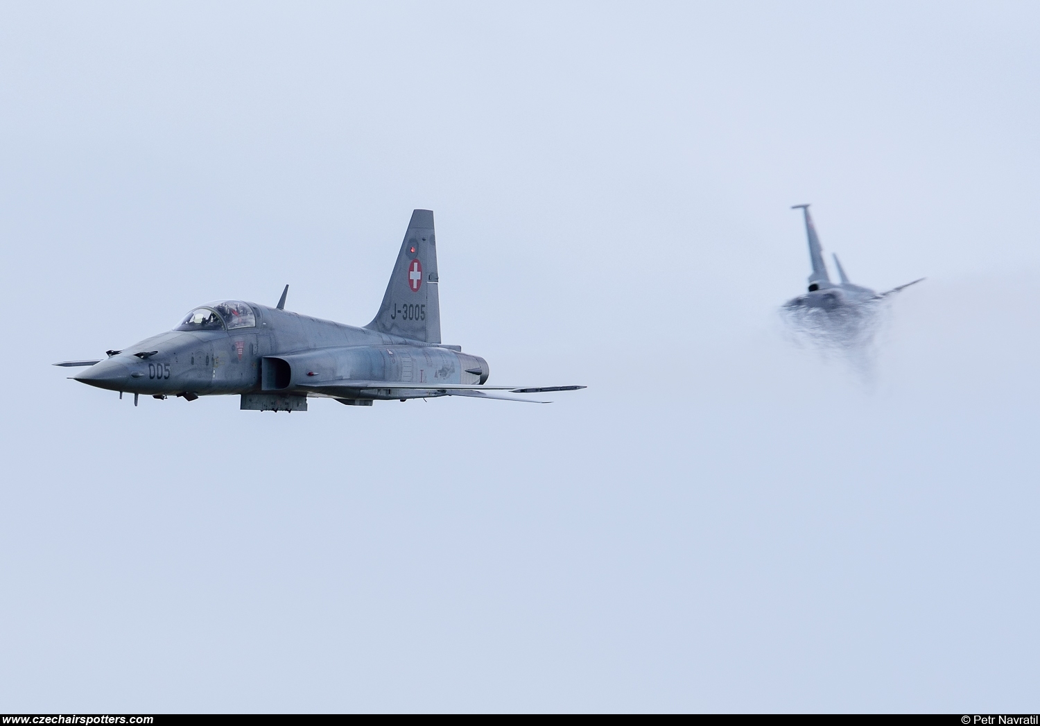 Switzerland - Air Force – Northrop F-5E Tiger II J-3005