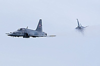 Switzerland - Air Force – Northrop F-5E Tiger II J-3005