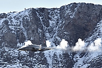 Switzerland - Air Force – Northrop F-5E Tiger II J-3005