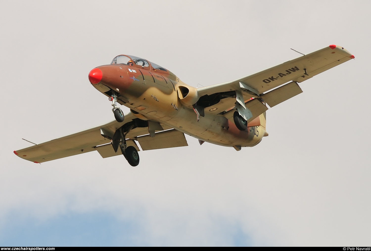 Blue Sky Service &ndash; Aero L-29 Delfin OK-AJW