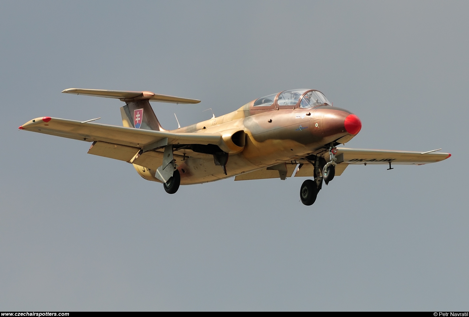 Blue Sky Service &ndash; Aero L-29 Delfin OK-AJW