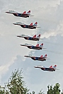 Swifts / Strizhi – Mikoyan-Gurevich MiG-29UB / 9-51 VARIOUS