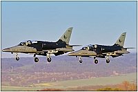 Czech - Air Force – Aero L-159A Alca 6050