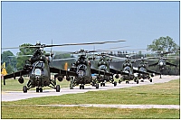 Poland - ARMY – Mil Mi-24D Hind 456