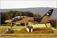 Czech - Air Force &ndash; Aero L-39ZA Albatros 5019
