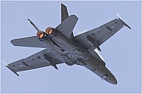 Finland - Air Force – McDonnell Douglas F/A-18C Hornet HN-448