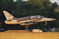 Czech - Air Force – Aero L-159A Alca 6060