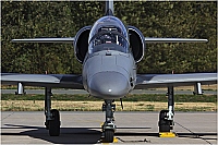 Czech - Air Force – Aero L-159A Alca 6066